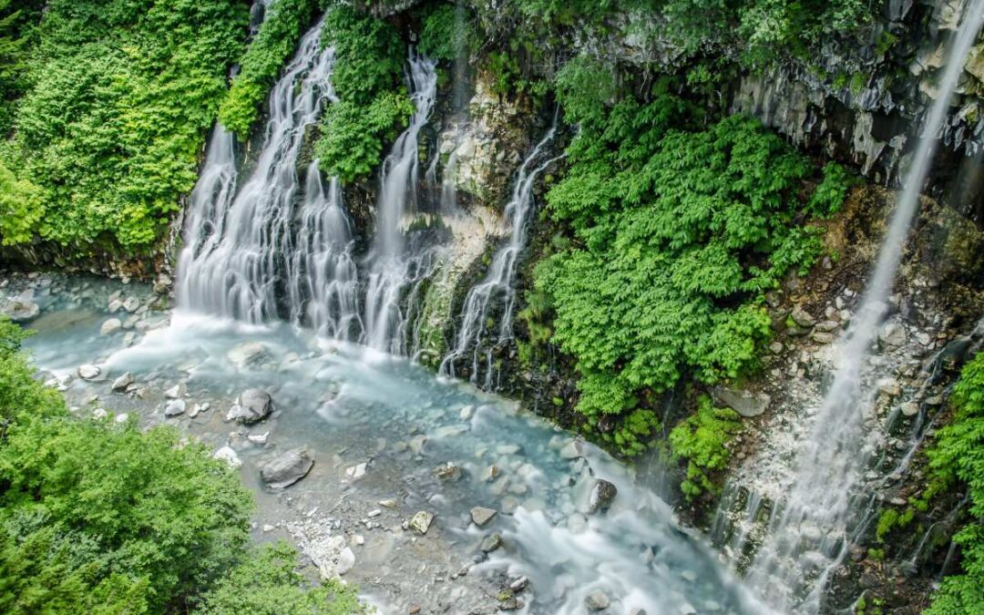 Top Hiking Trails in the Peruvian Amazon Rain Forest